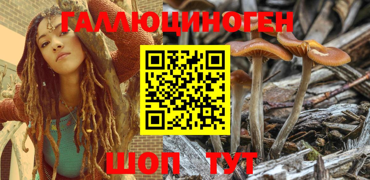 Киселёвск  Галлюциногенные грибы Psilocybe  Вход с VPN  Галлюциногенные грибы MAGIC MUSHROOMS 