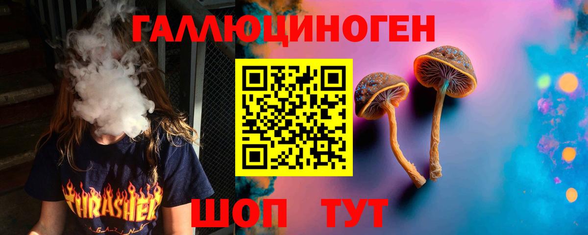 Псилоцибиновые грибы MAGIC MUSHROOMS Киселёвск